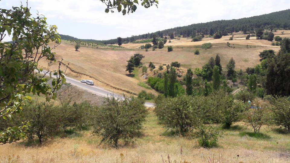 Turgay Asmalıkaya 9 Temmuz 2016 14